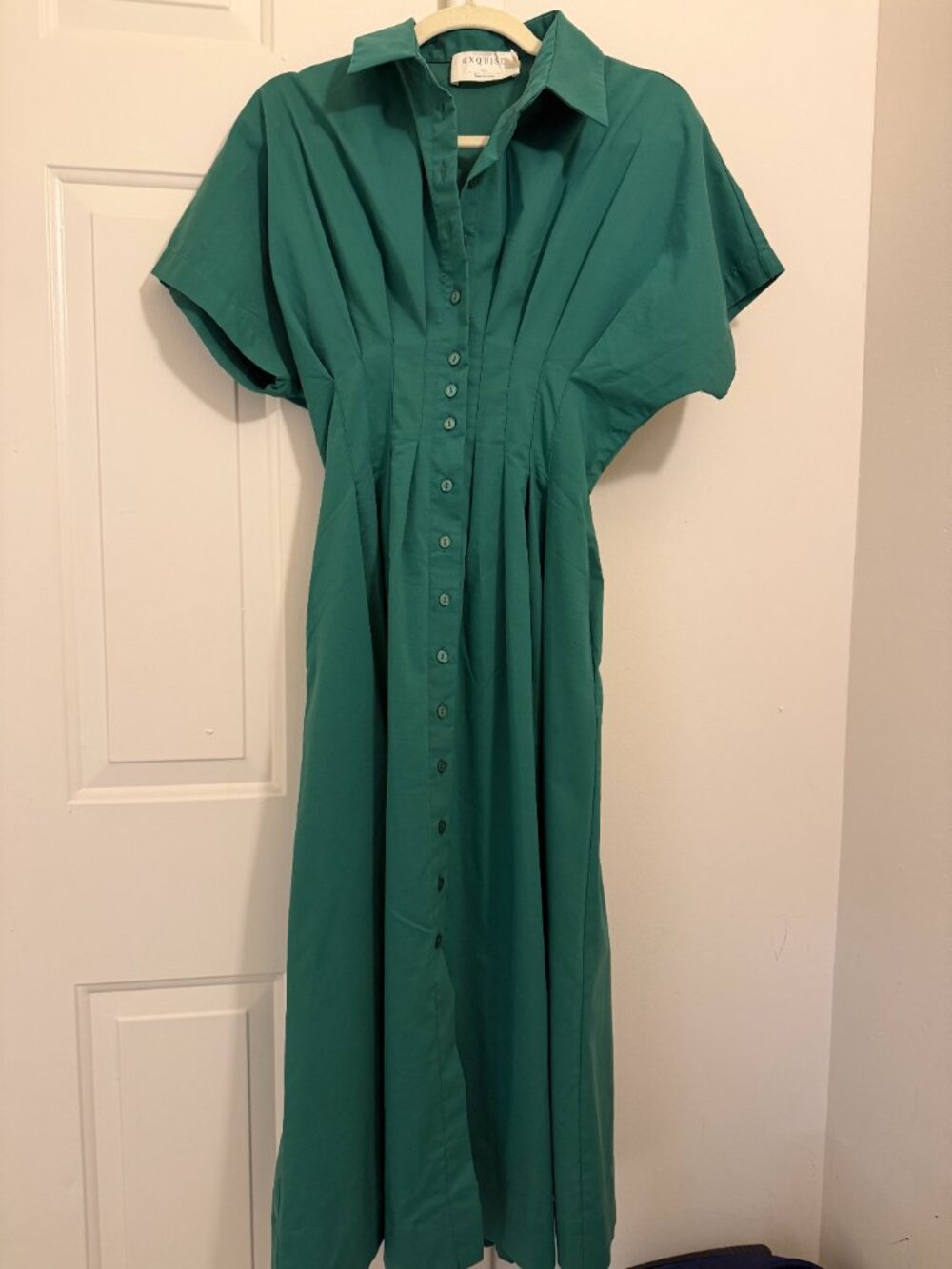 Exquise Tobie Button-Front Pleated Dress - Picture 2 of 5